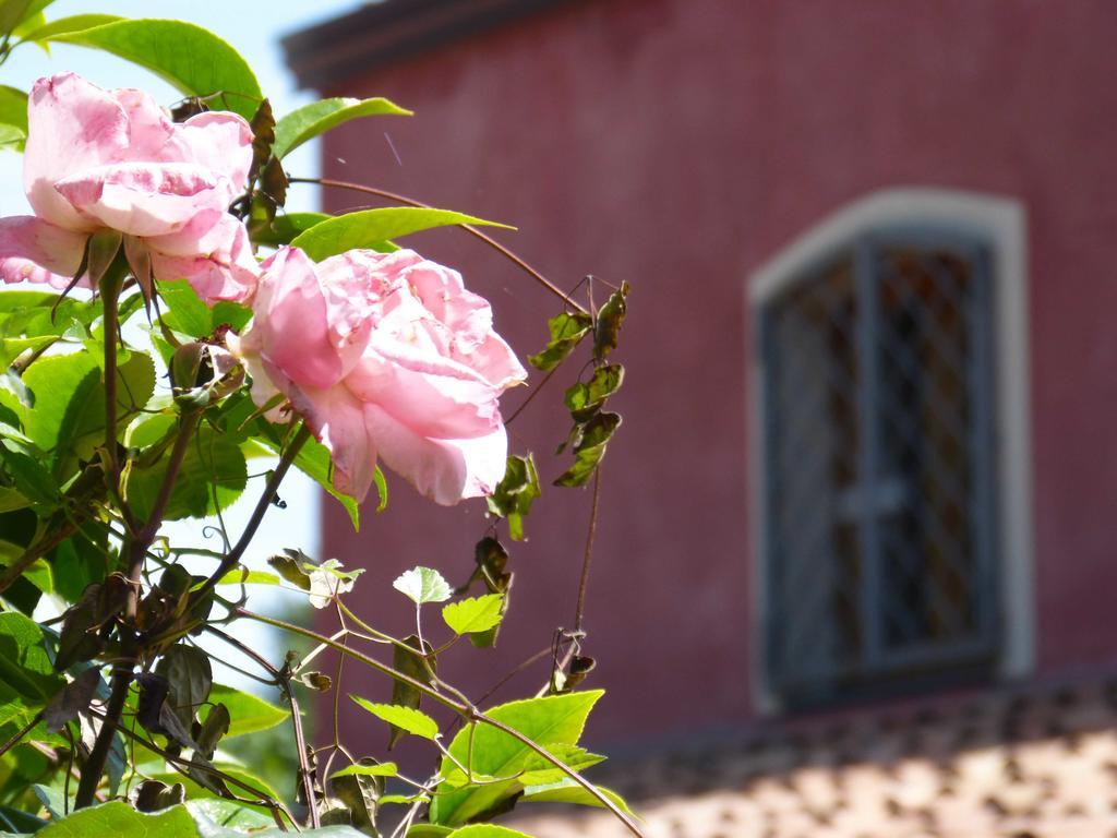 L'Orto Dei Semplici Casa de hóspedes Mascali Exterior foto